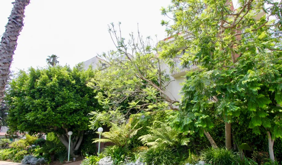 superbly green idaho west surrounding, santa monica, california