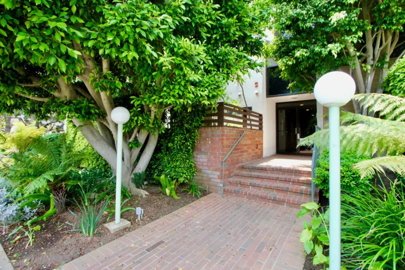 The golden greenery of Idaho West, Santa Monica, california