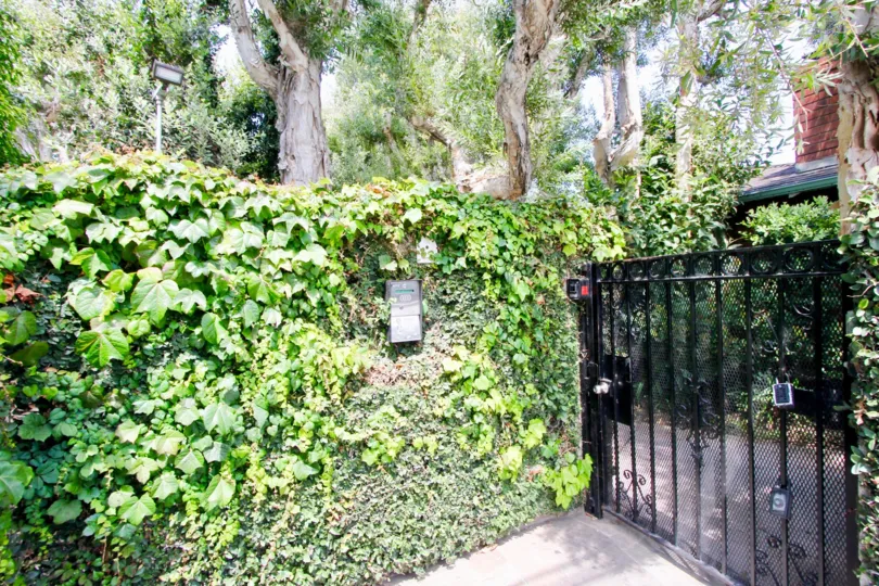 The Casitas En Santa Monica is infront of the good atmosphere condition with green leafy trees and plants