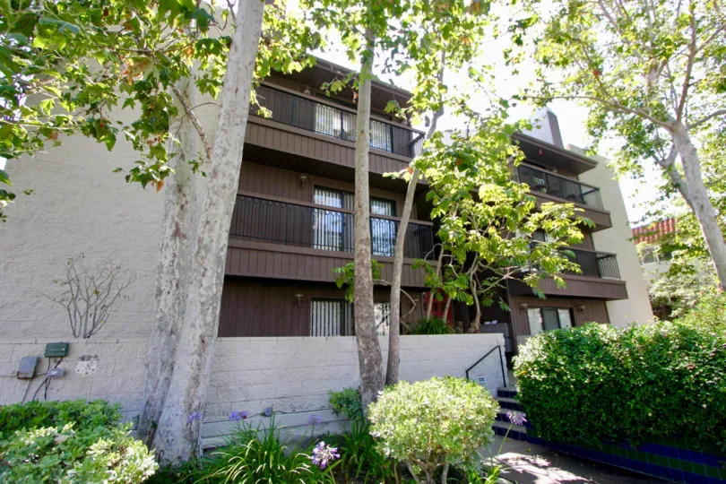 A clear day in the Lincoln Fountain Villas with tall trees.