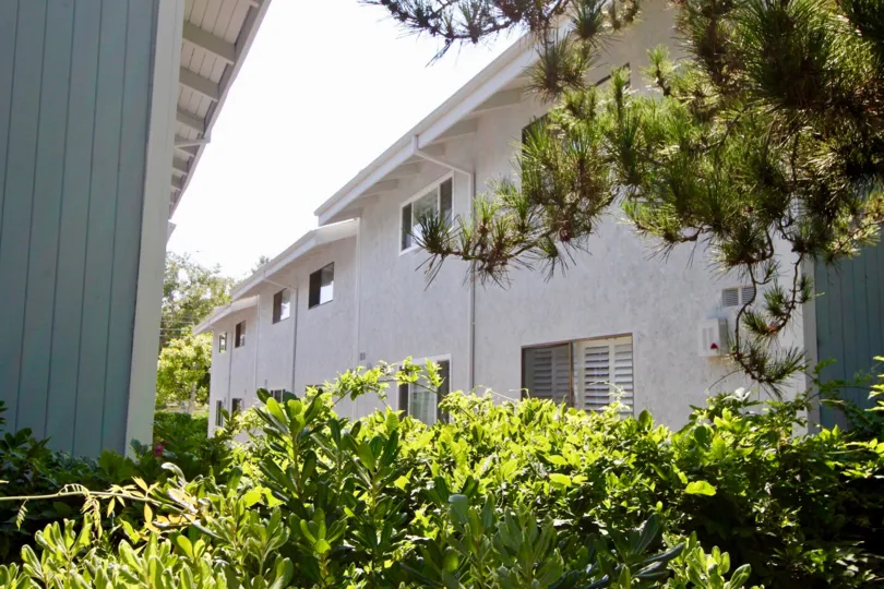 Back of the Marlene Manor with bushes and trees in Santa Monica, California