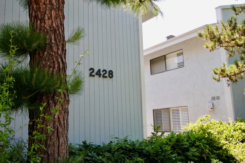 The Marlene Manor with number printed in its structure with a large tree in front