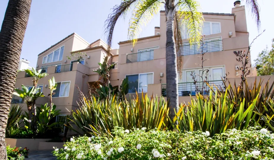 The landscaping at Ocean Regency