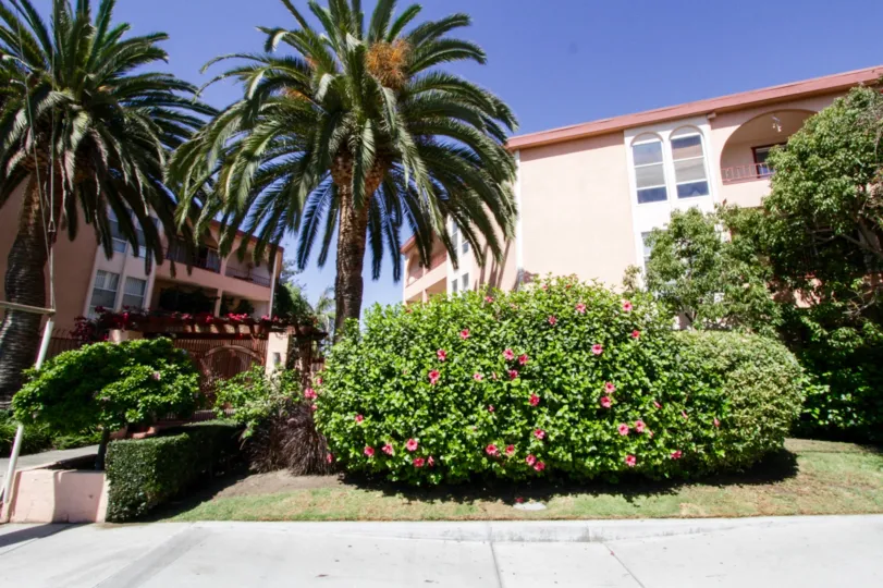 The sidewalk leading up to Pacific Bay Towers