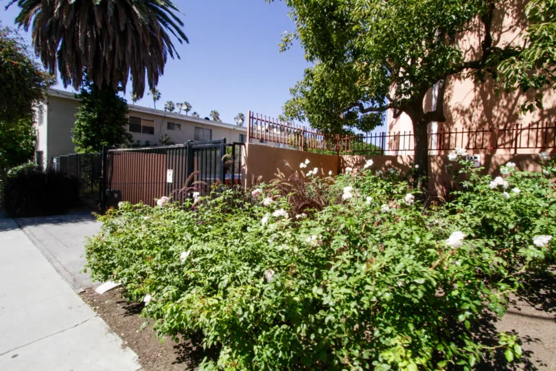 The landscaping at Pacific Bay Towers