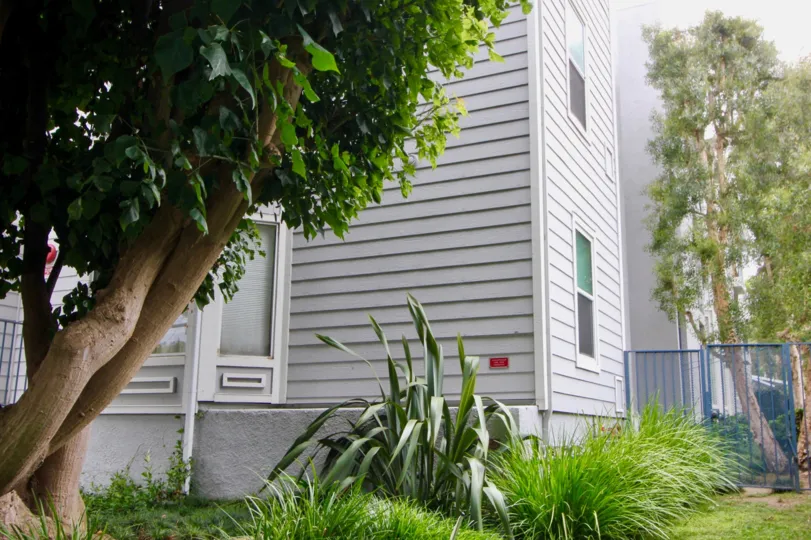 A day in the Pacific Gardens with an ash color building.