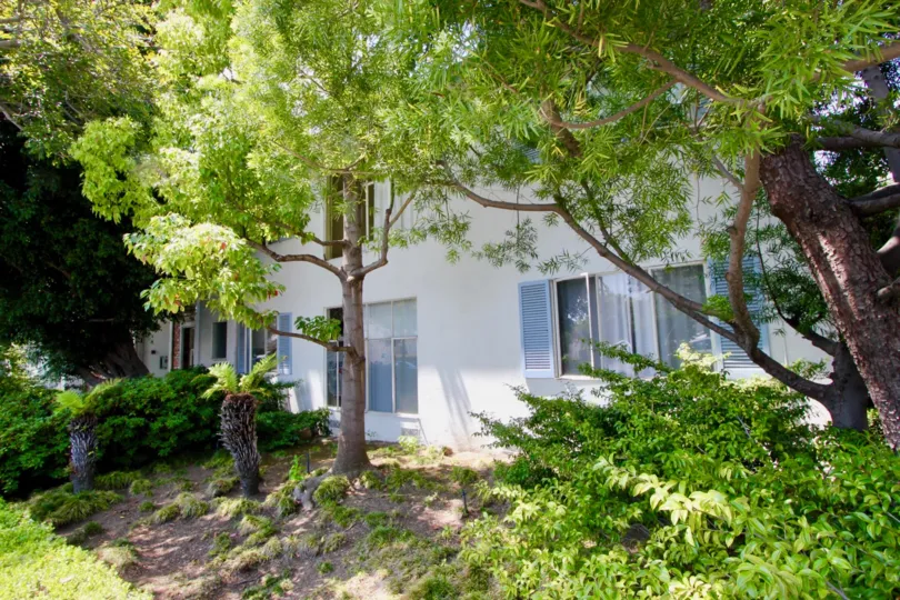 A sunny day at Princeton South's community in Santa Monica, CA
