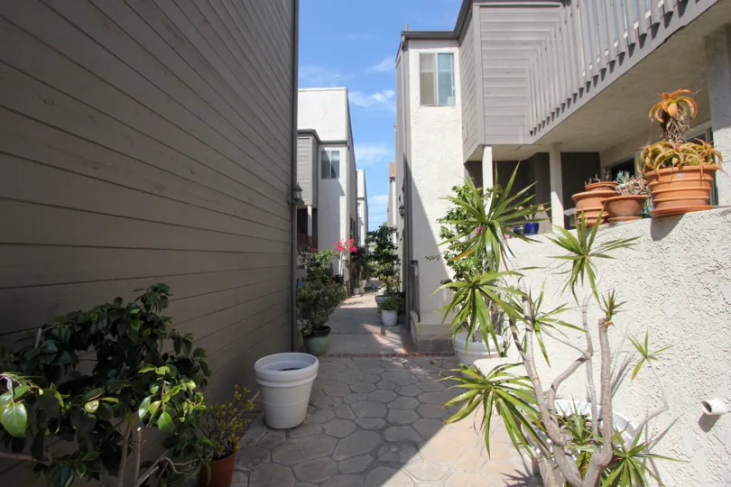 A sunny day at a valley in the Rustic Glen's community in Santa Monica, CA