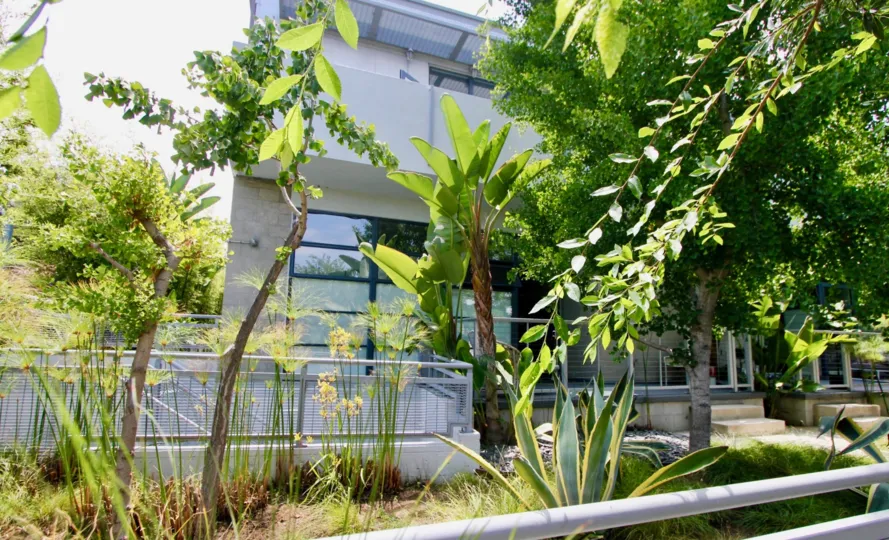 Great houses of Santa Monica Art Lofts with their green paradise, Santa Monica, California