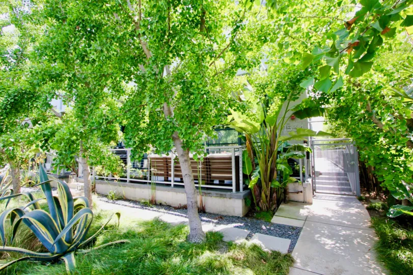 Trees in front of a building in Santa Monica Art Lofts community