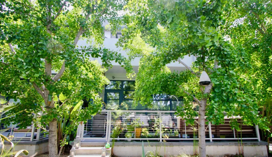A day in the Santa Monica Art Lofts with tall trees.