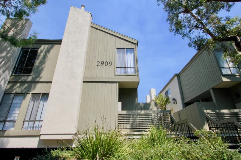 A clear day in the Santa Monica Townhomes with some ordinary plants.
