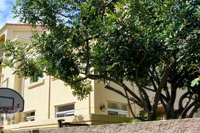A sunny day at the Schader Place's community in Santa Monica, CA