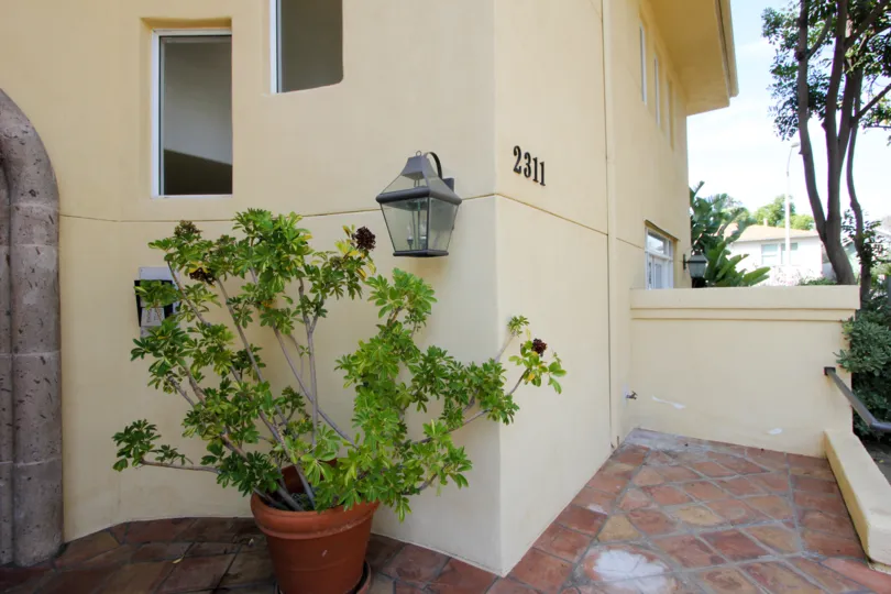 A clean and pleasing patio with tiled pavers, concrete walls, and an inviting potted plant