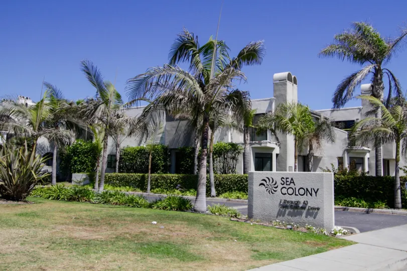 The palm trees surrounding the Sea Colony I