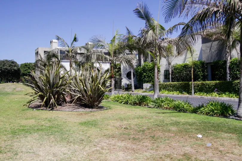 The landscaping at Sea Colony I