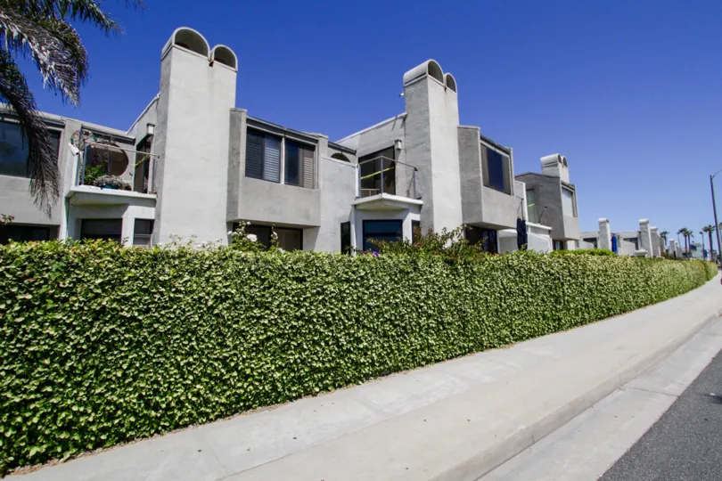 The hedges seen around Sea Colony I