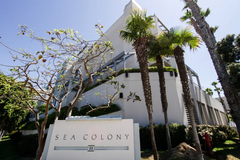 The palm trees around the Sea Colony III