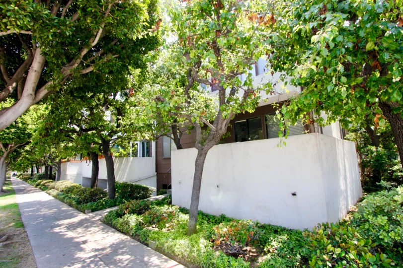 From the outside this house looks luxurious. It has been built with yellow pine wood and has oak wooden decorations. Small, rounded windows add to the overall style of the house and have been added to the house in a fairly asymmetrical pattern. The house 