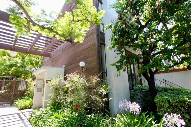 Trees and plants around a big building in santa monica