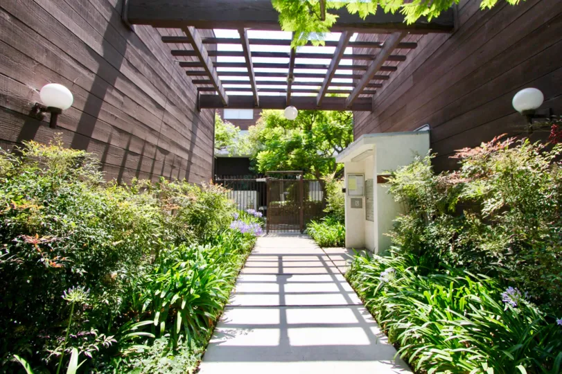 Wooden walls in santa monica with many plants inside a home