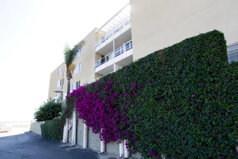 The landscaping at the Sorrento Grill in Santa Monica