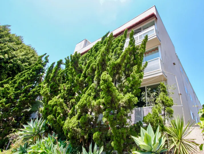 huge building with many rooms and trees in California
