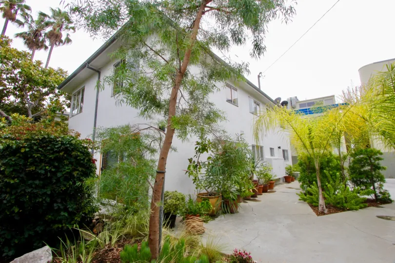 A gray day at the back of the Baymar's community in Santa Monica, CA