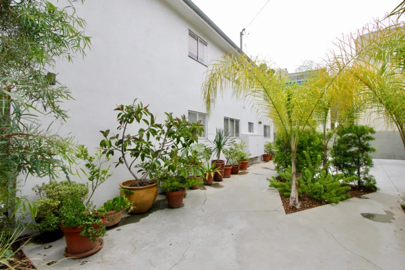 This is a back alley with a split sidewalk along the wall of an apartment. There are potted plants and trees along the edges.