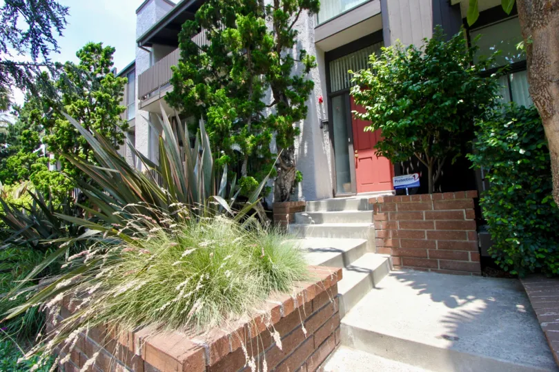 Lush landscaping at The Pines in Santa Monica California