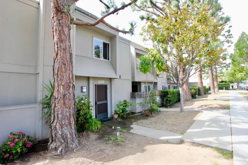 A quiet street of townhomes at The Woods in Santa Monica.