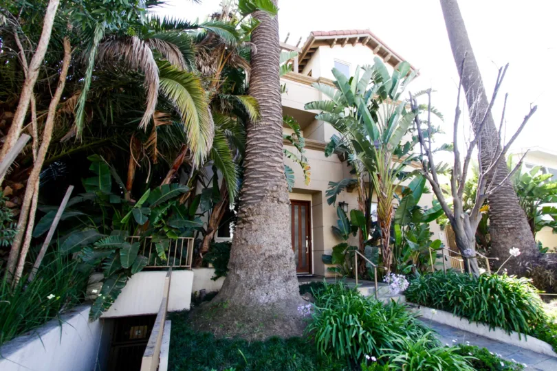 The trees around Third Street Townhomes in Santa Monica