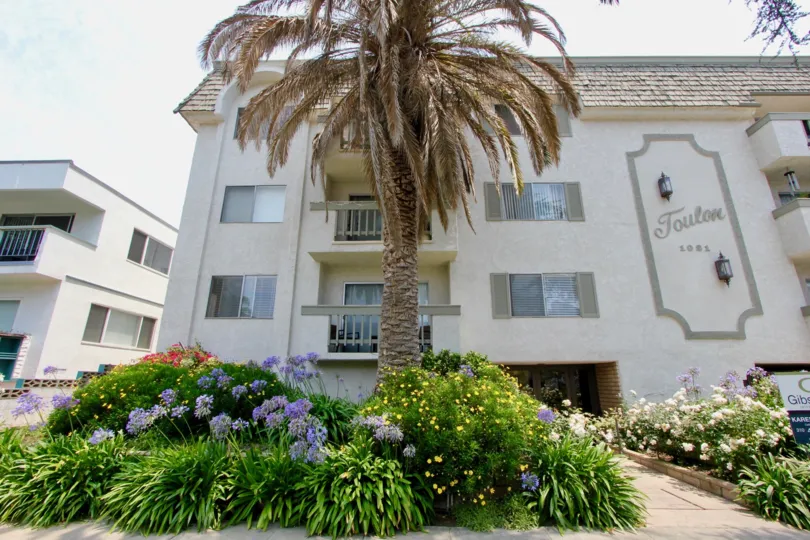 A sunny day in the Alta santa monica apartment with main entrance view