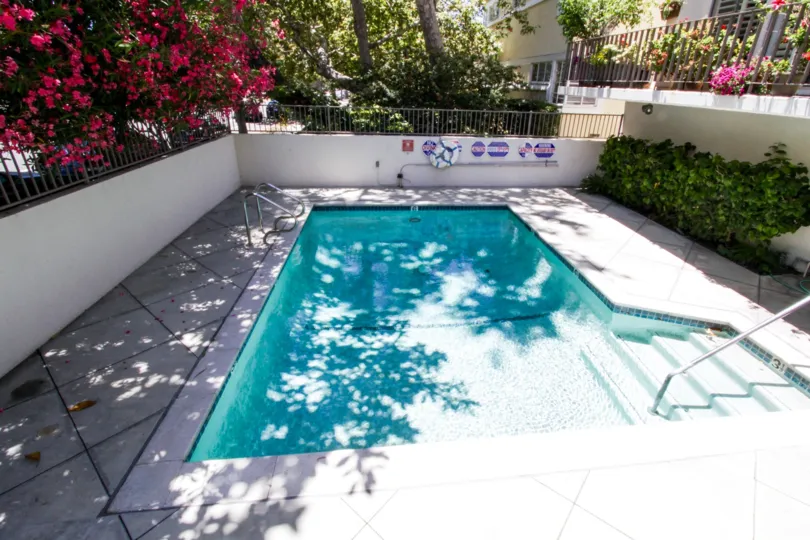 The swillimg pool at Vicente Court