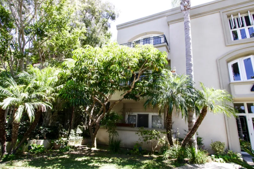 The trees at the Vicente Del Mar