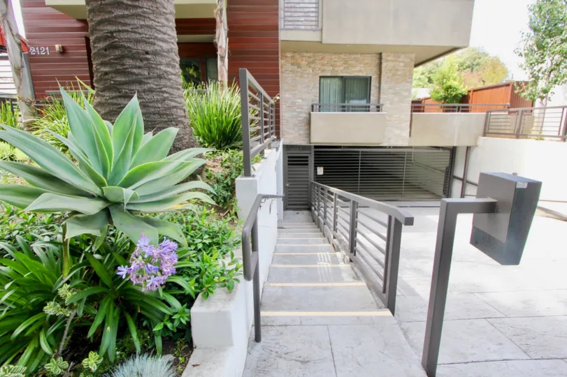 The fauna and flowers adjacent to the Virginia Court Townhouses garage.
