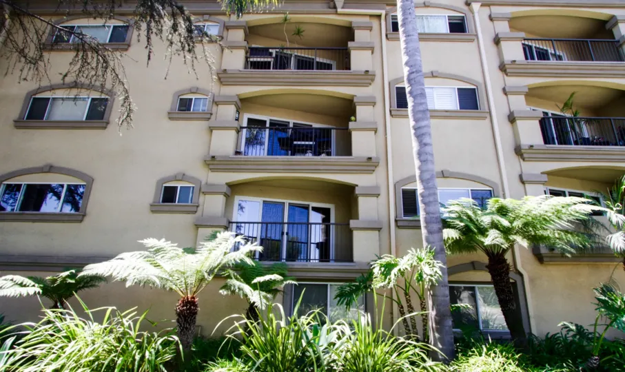 The landscaping at the Vista Palisades