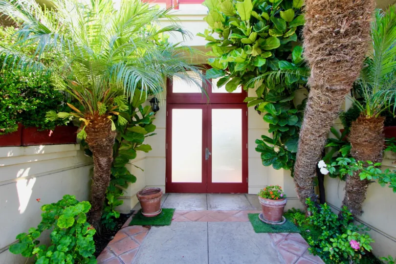 Entryway leads to French doors of warm wood and white panels. Trees and plants line a tiled walk and frame the door.