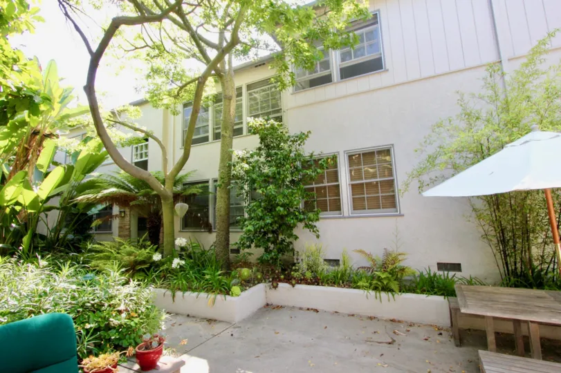 Yale Street, Santa Monica, California, Landscape, Trees, Shrubs, Bushes, Picnic table