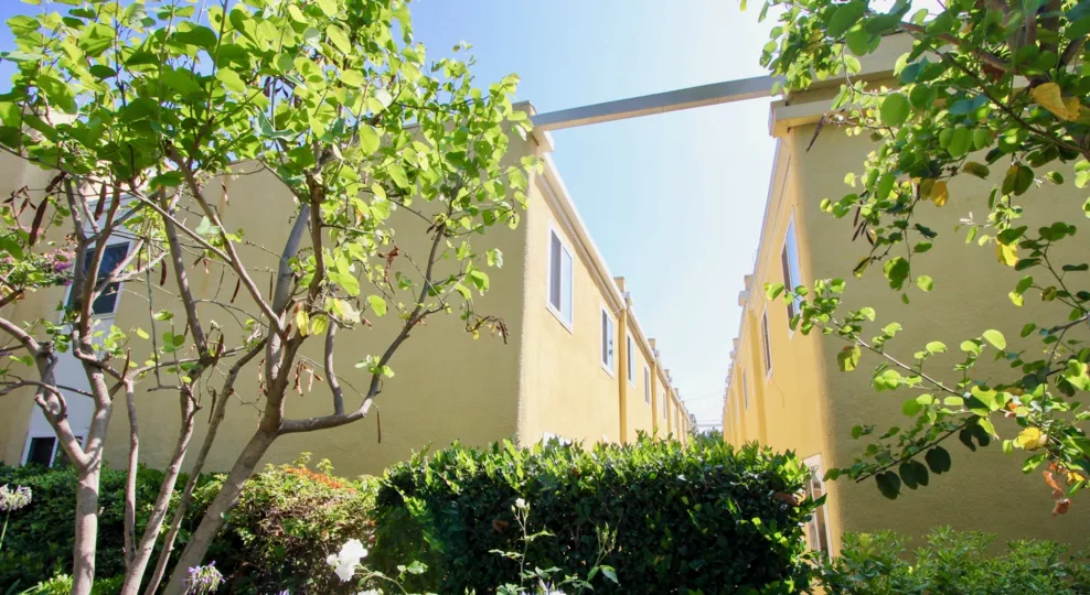Trees and a stunning view between the buildings at Yale Villas in Santa Monica, California