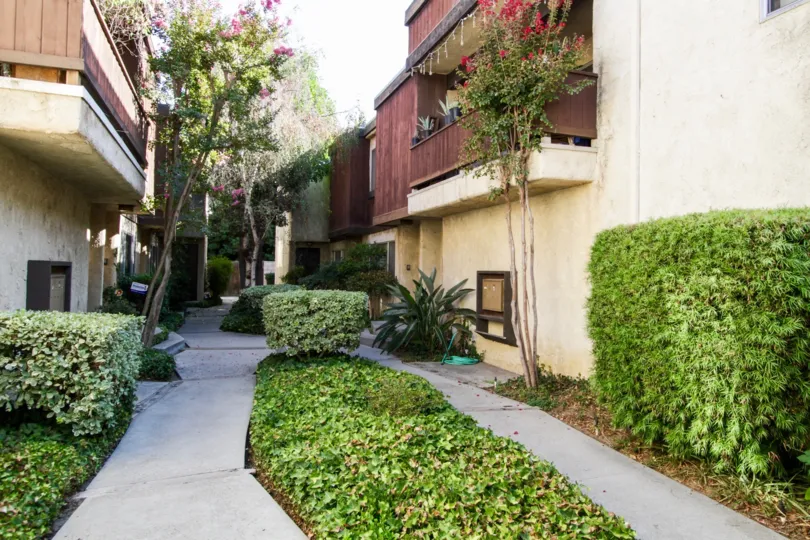 The landscaping at 13108 Moorpark St in Sherman Oaks