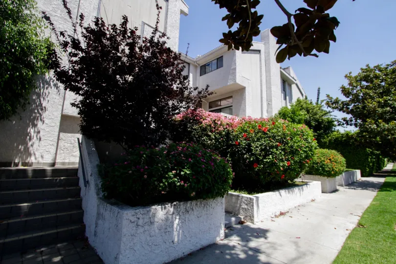 The landscaping around 14025 Riverside Dr in Sherman Oaks