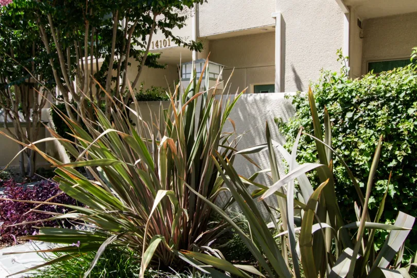 The landscaping seen around 14101 Dickens St