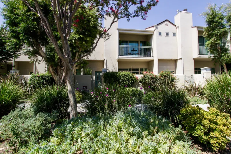 The lush scenery seen around 14101 Dickens St in Sherman Oaks