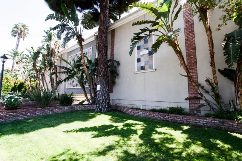 The yard outside of 14144 Burbank Blvd