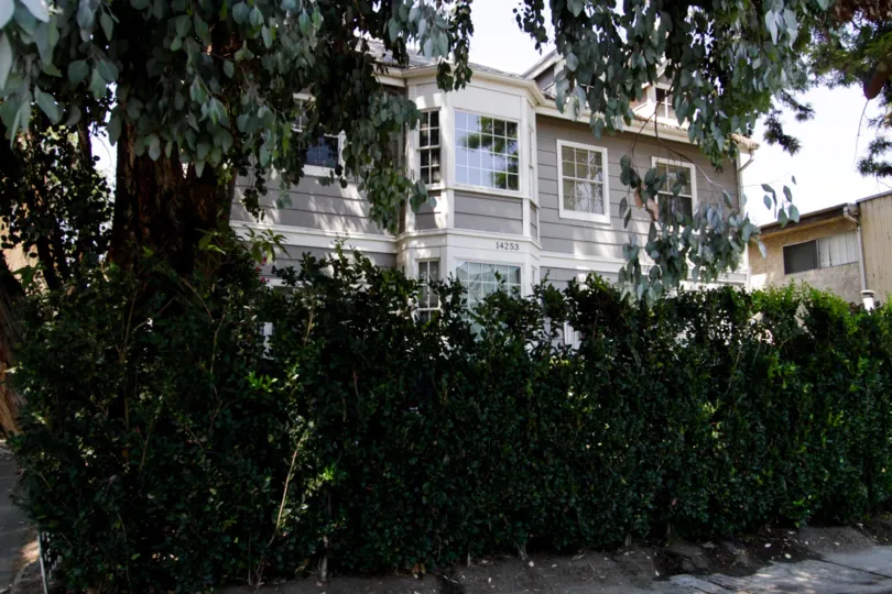 The building at 14253 Burbank Blvd in Sherman Oaks