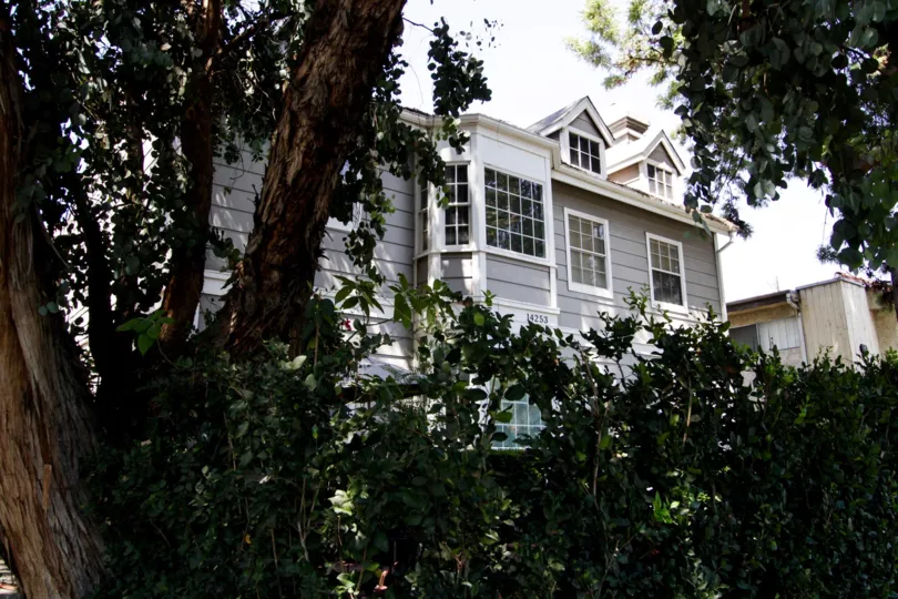 The windows seen at 14253 Burbank Blvd