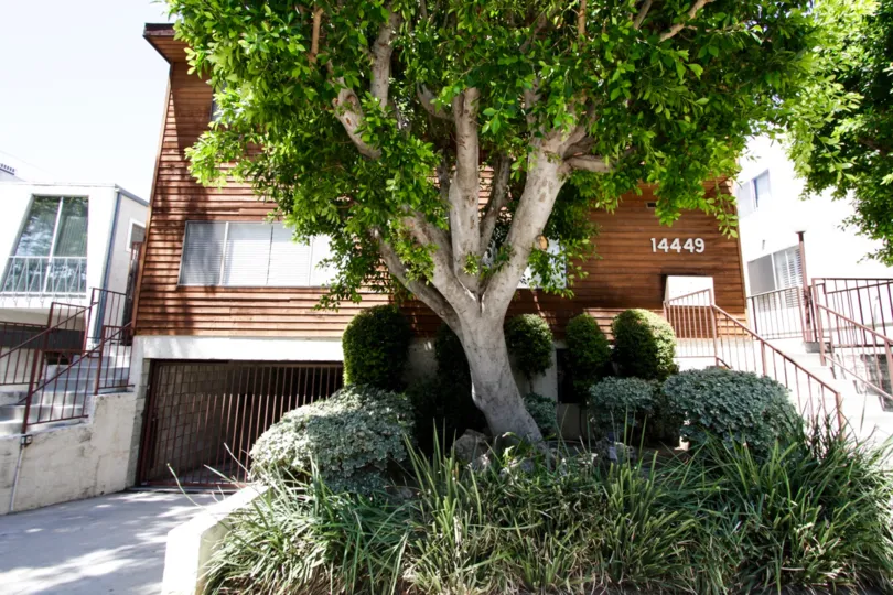 The landscaping around 14449 Benefit St in Sherman Oaks