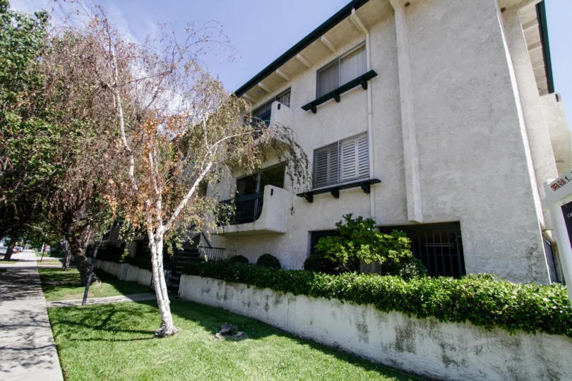 The landscaping around 14560 Clark St in Sherman Oaks