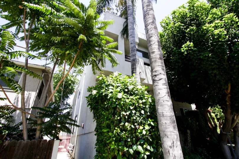 The landscaping at 14631 Dickens St in Sherman Oaks
